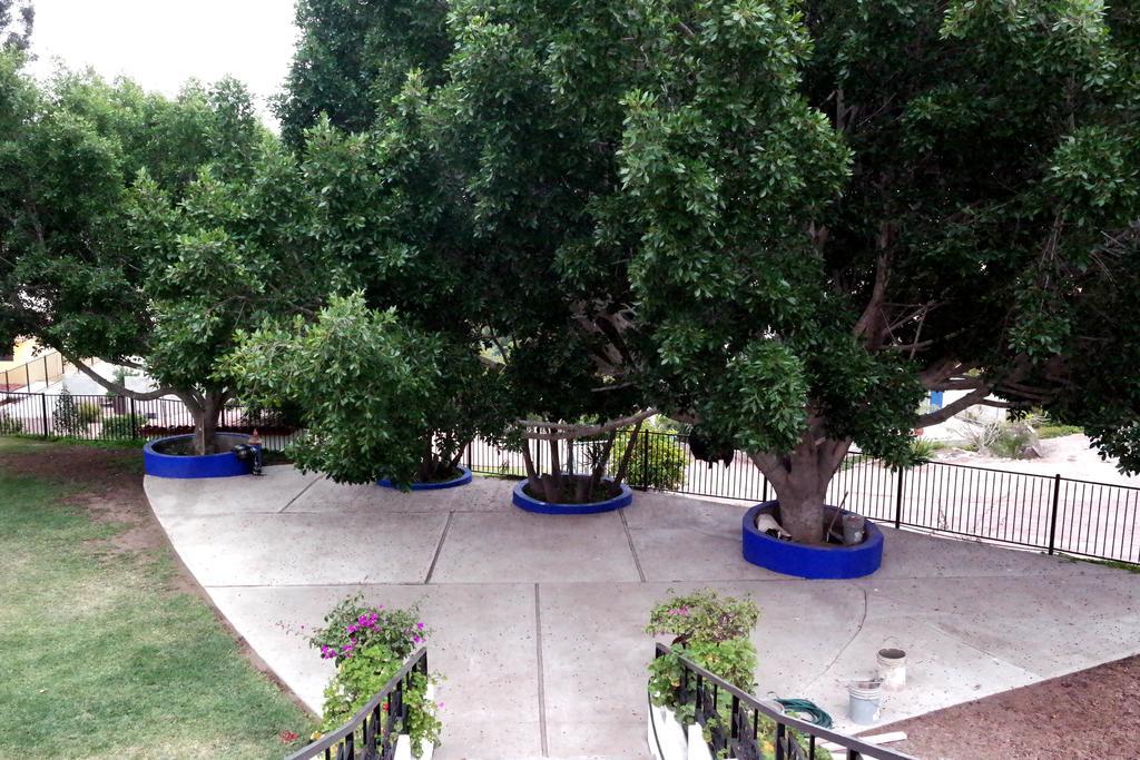 Hotel Quinta Los Arrayanes Ensenada Exterior foto